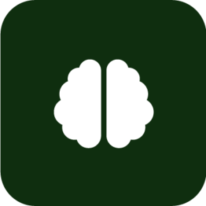 cognitive function icon