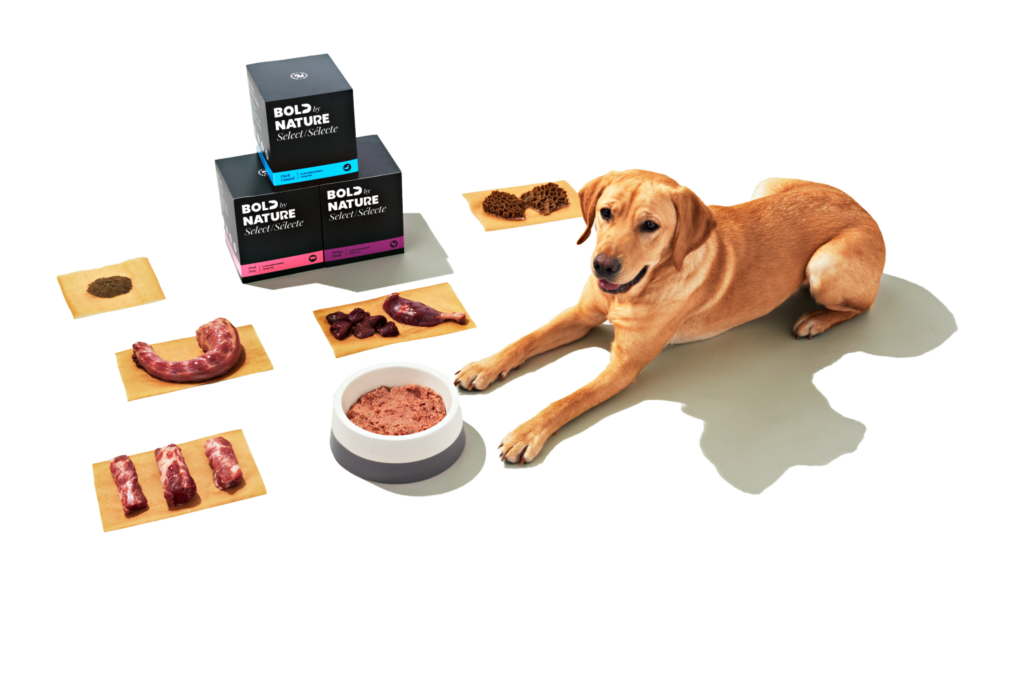 Dog and ingredients graphic