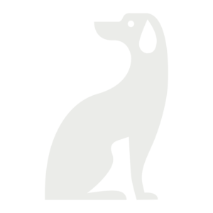 dog-graphic